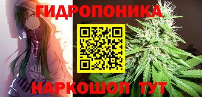 дмт Дубна