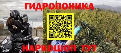 бошки Бийск