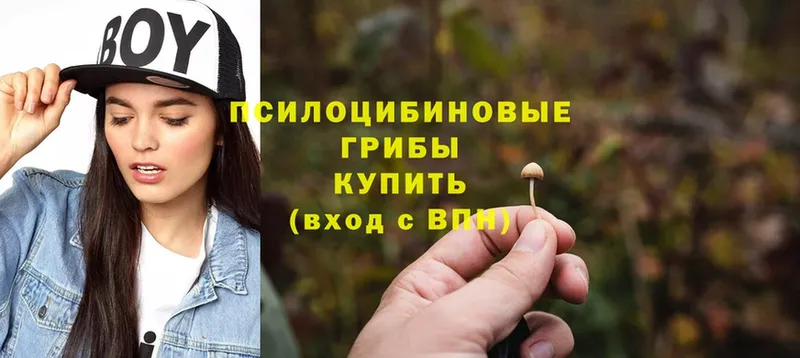 Псилоцибиновые грибы Magic Shrooms  где купить наркотик  Георгиевск 